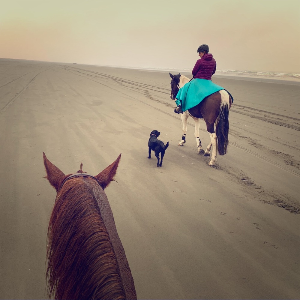 ISO Foxhunting attire/FITs S breeches/Volant boots
